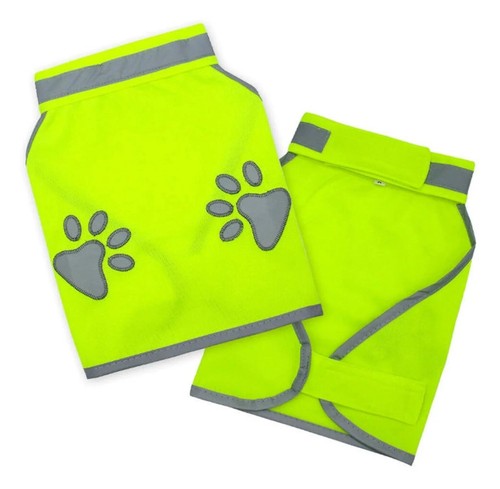 Maltese terrier vis - hi,