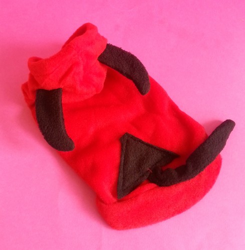 Devil red dog - devil,