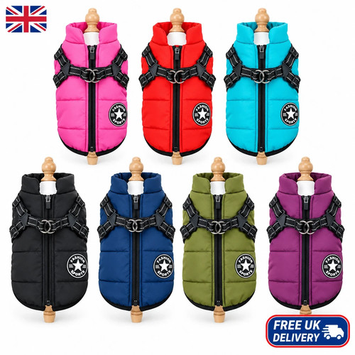 Dog coat waterproof - dog, with