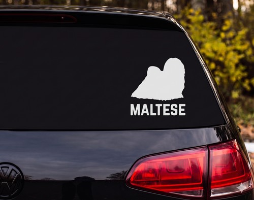 Maltese dog silhouette - maltese,
