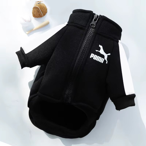 Winter dog jacket baseball - dog,