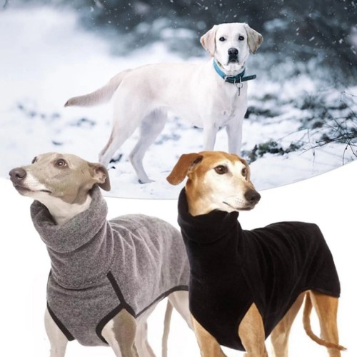 Dog pet whippet jacket - whippet,