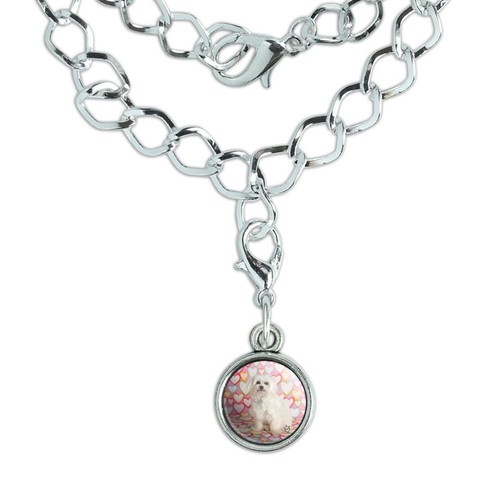 Maltese puppy dog hearts love - dog,