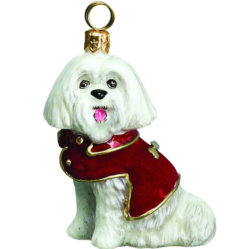 Maltese red velvet coat - in,