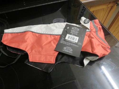 Buster original dog - dog, coat