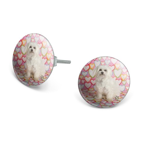 Maltese puppy dog hearts - maltese,