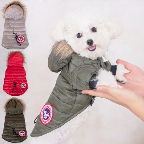 Designer dog jacket - designer, winter