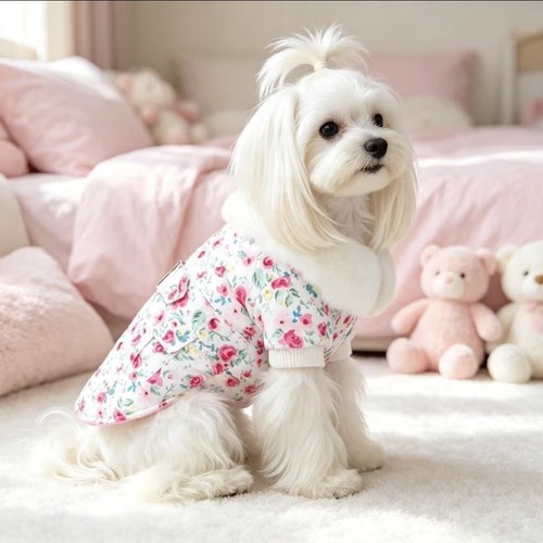 Small floral dog winter - small,