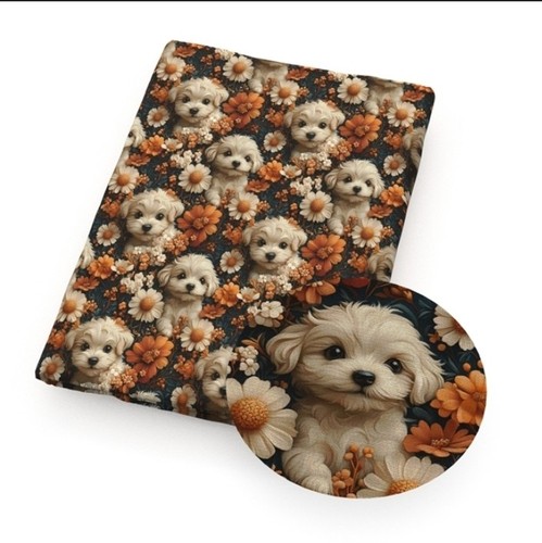 Maltese shi tzu dog puppy - shi-tzu, pet