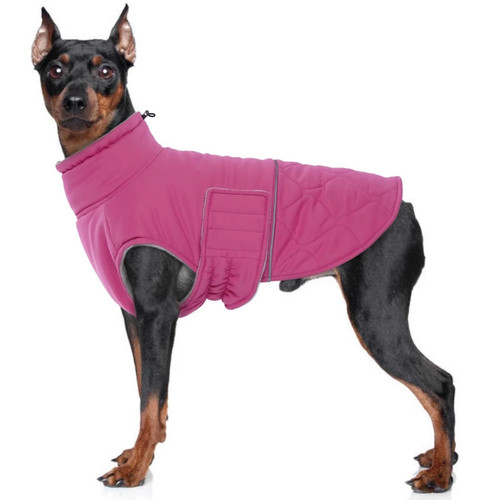 Mhaustlie dog winter coat - dog,