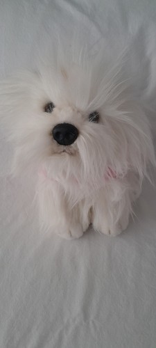 Elc white dog puppy - elc, with