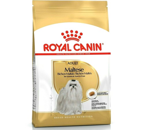Maltese royal - -, (1.5kg)