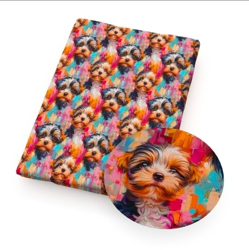 Maltese shih tzu dog - maltese,