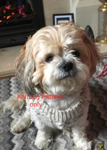 Dog coat knitting pattern - dog, shih