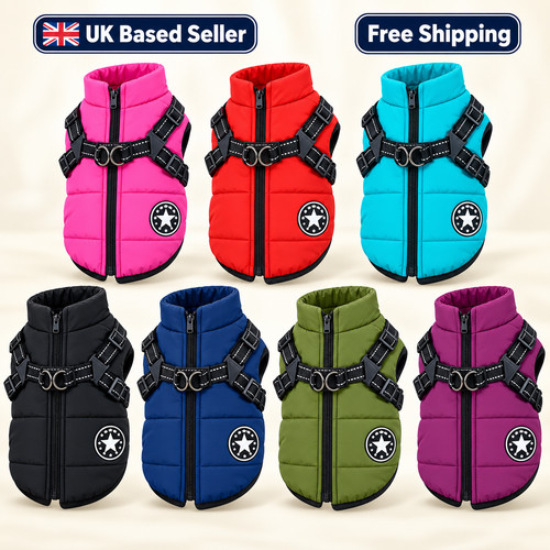 Dog coat waterproof - dog,