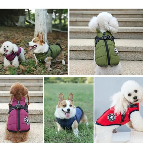 Dog coat with harness - dog,